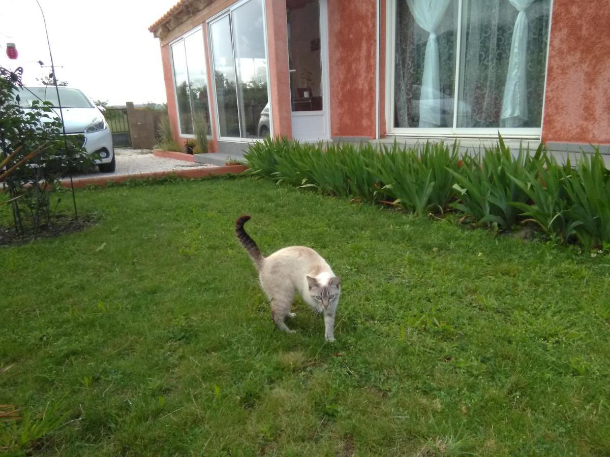 Bleu Du Sud Villa Rigarda Екстериор снимка